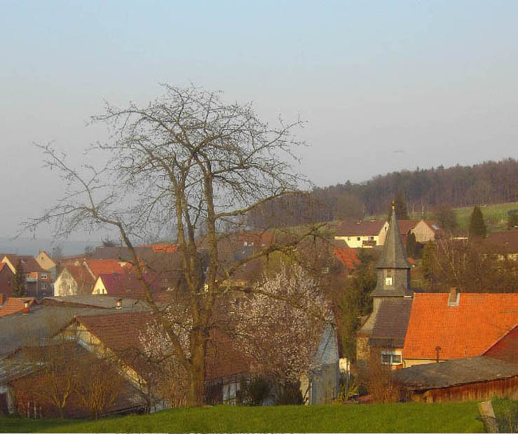 Dorfblick von Südwesten