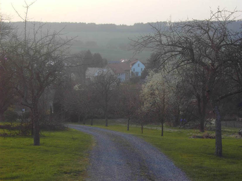 Dorfblick von Osten