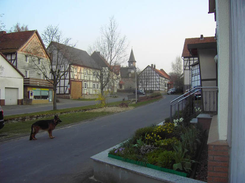 Ahornalle - Blick nach Süden zur Kirche